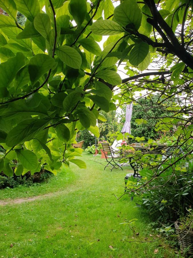 Bed and breakfast Aan De Limes In *
